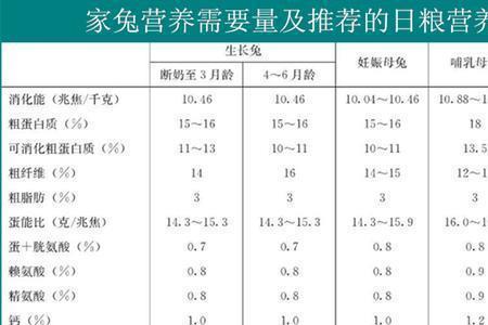 养兔最怕什么饲料