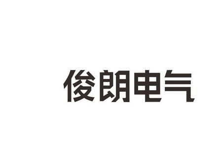 浙江俊朗电气有限公司董事长