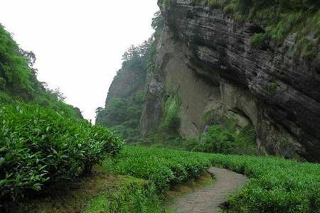 棺材山要门票吗