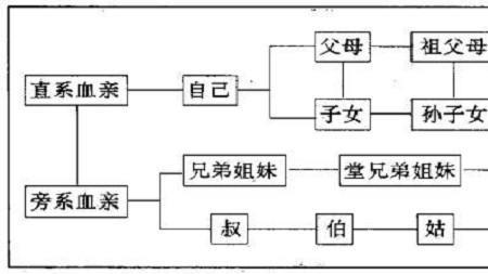 直系亲属包括哪些