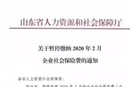 社保新系统可以退一补一吗