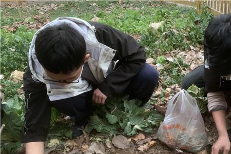 劳动教育的实践性有什么