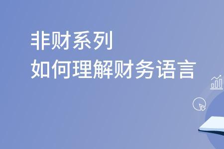 会计语言是什么意思