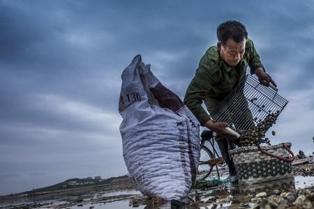 鲅鱼圈北海赶海最佳时间