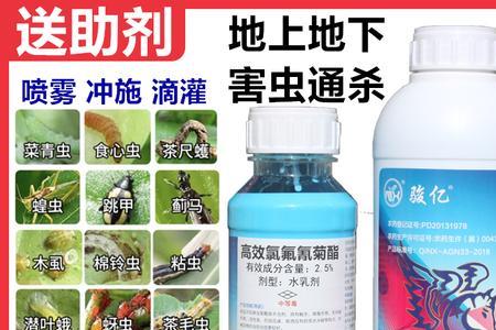 高效氯氟氰菊酯能治旱稻钻心虫