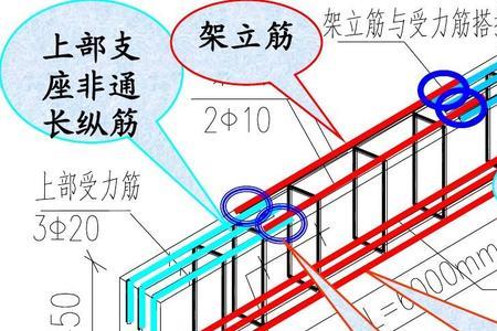 架立筋在支座处锚固长度