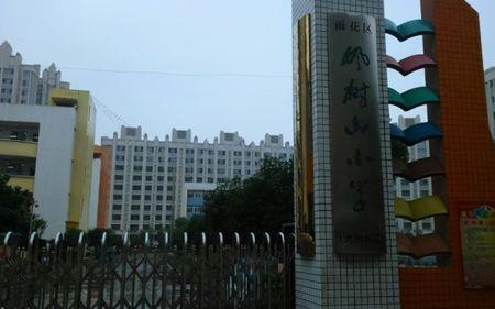 长沙南大桥小学怎么样