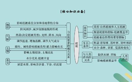 植被分类的客观方法