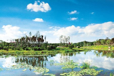 辽中湿地公园门票