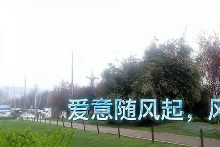 爱意终难平什么意思