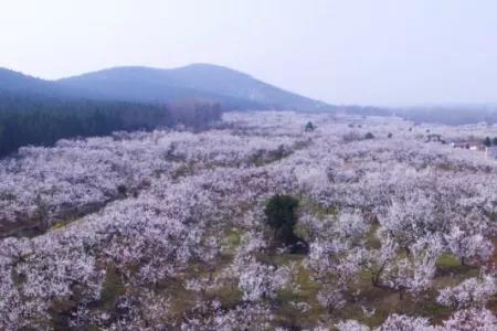 徐州吕梁山门票