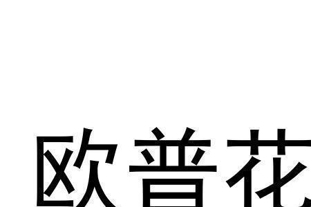 欧普和欧普惠是一个公司吗