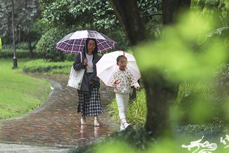 淅淅沥沥的小雨下个不停原唱