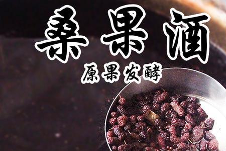 无水桑葚酵素正确做法