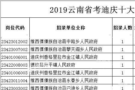 四川省考执法勤务考什么