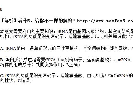 trna携带的是密码子还是反密码子