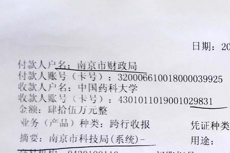 资金划拨属于什么业务类型