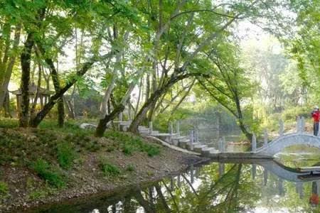 芜湖最早由什么引入中原