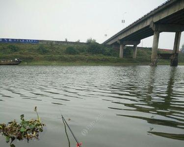 久晴之后下雨好钓鱼吗