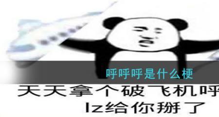 飞机呼呼呼什么梗