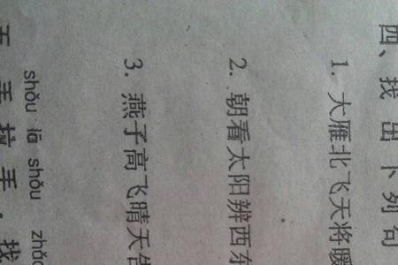 真字的反义词是谁