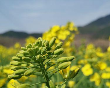 生机勃勃是春夏秋冬哪一个季节