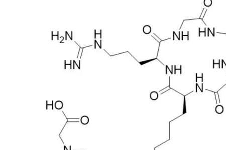 环肽与多肽的区别