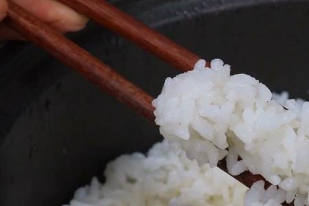 电饭锅蒸饭团商用