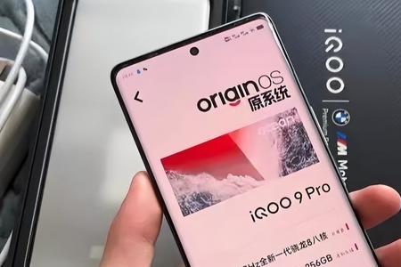 iqoo9pro支持原彩显示吗