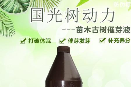 大树拉头不发芽用什么营养液