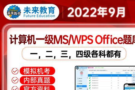 ms和wps建二级议考哪个