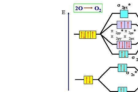 杂化轨道只能形成西格玛键吗