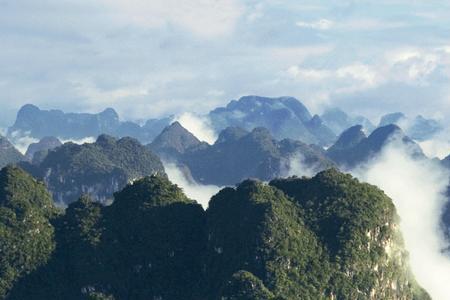 东北十月份榆树下山桩咋能活