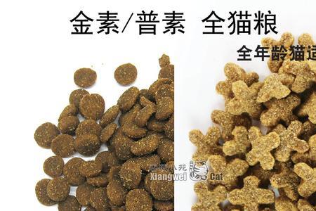 猫粮应该一直倒满吗