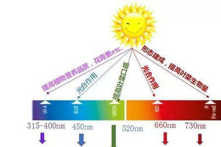 吸收光的原理