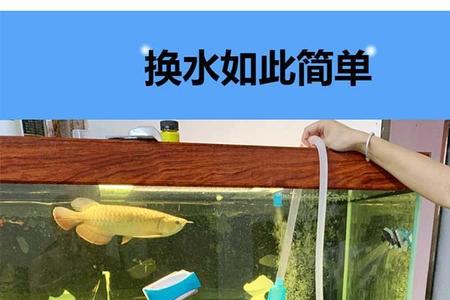 金鱼缸加水的正确方法