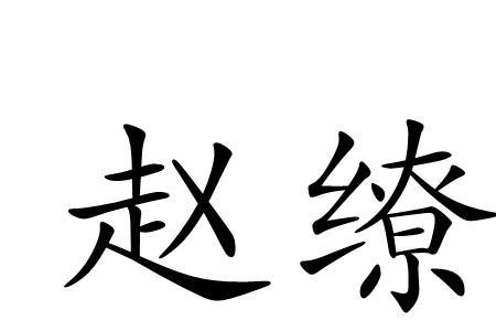 使赵不将括即已的使的意思