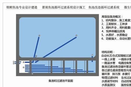 锦鲤池水循环几小时一次合适