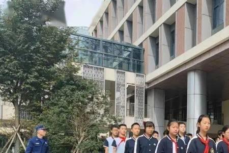 宁波华师大艺术实验学校升学率