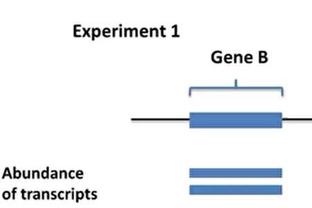 rna-seq原理及意义