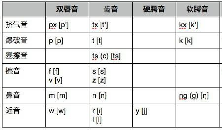 ng为什么是辅音