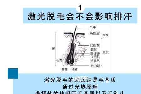 脱毛一个毛孔长两根汗毛正常吗