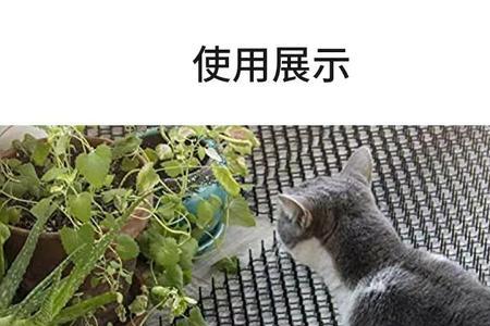 防猫网有用吗