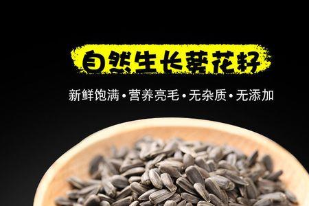 仓鼠粮里白色类似瓜子的是什么