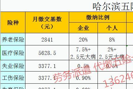 劳务派遣五险一金缴费标准