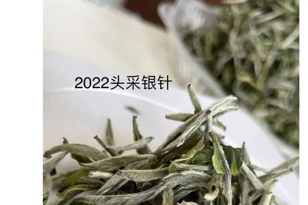 月光银针是白毫银针吗