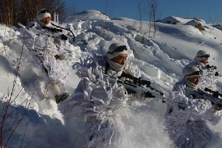 怎样快速记住林海雪原内容