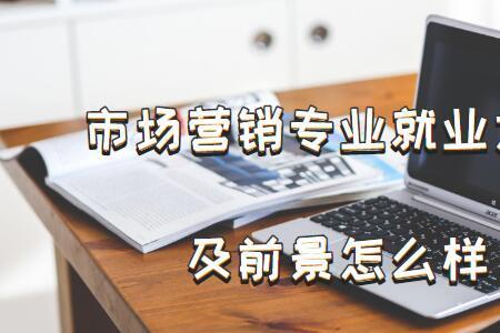 销售助理职业规划