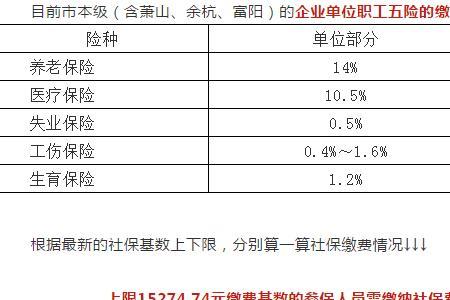 缴费基数生效时间是什么意思