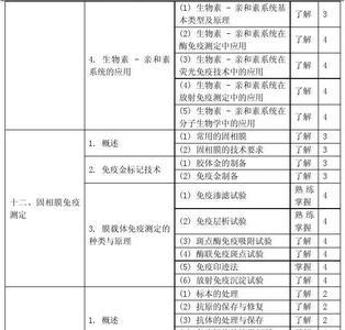 医学影像学中级职称叫什么